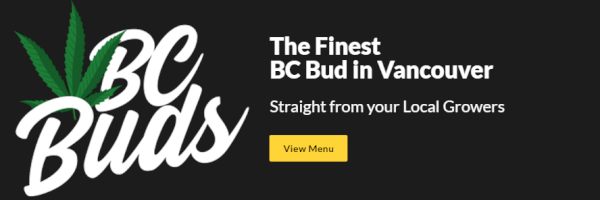 Profile cover