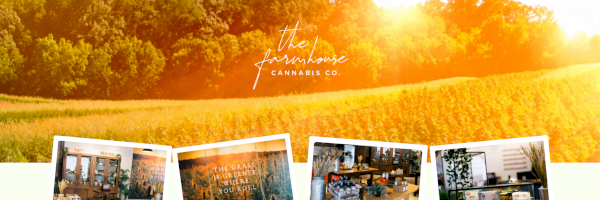 Profile cover
