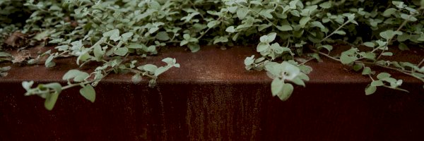 Profile cover
