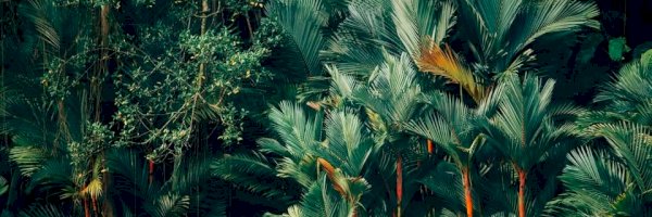 Profile cover