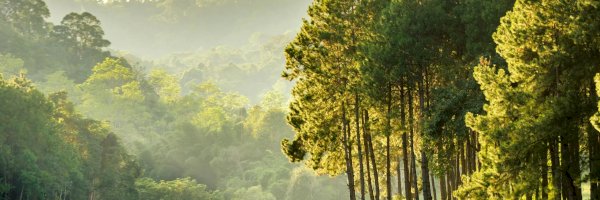 Profile cover