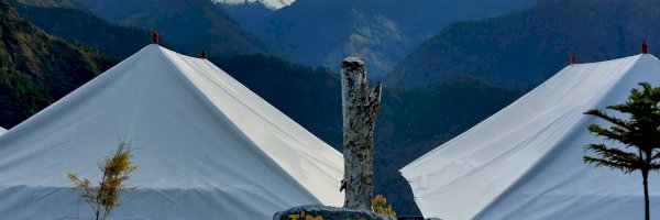 Profile cover