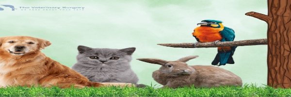 Profile cover